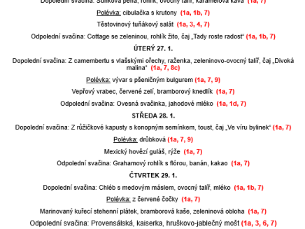 Snímek obrazovky 2026-01-22 124109