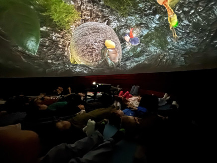 WhatsApp Image 2025-04-01 at 16.12.39 (1)