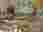 19b7034e-ae7c-49be-8d4c-a4fdd77a8d46