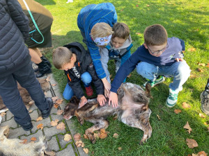 5c7f5338-2bd4-42eb-91dc-07fa63cbf073