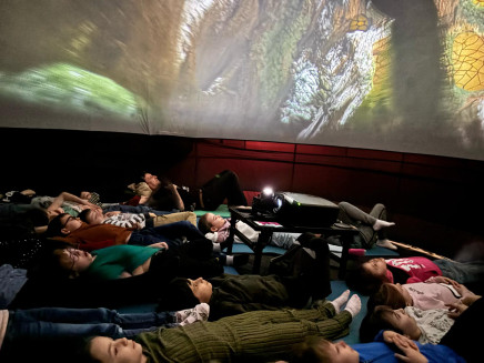 WhatsApp Image 2025-04-01 at 16.12.39