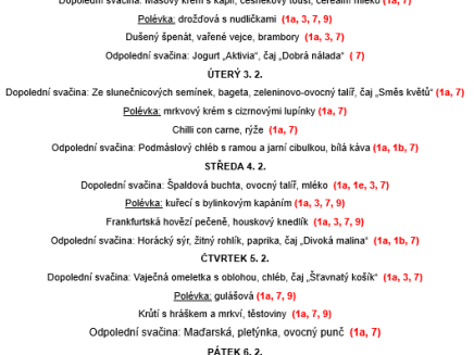 Snímek obrazovky 2026-01-29 104050