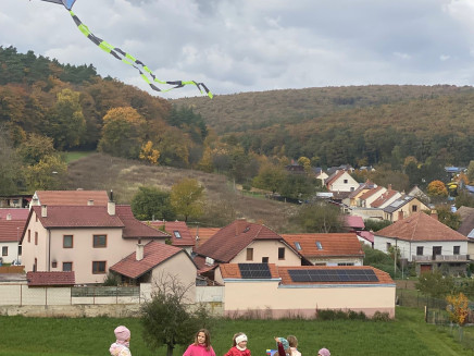 d8f33cd9-8203-4231-bdb4-89266bcaf017